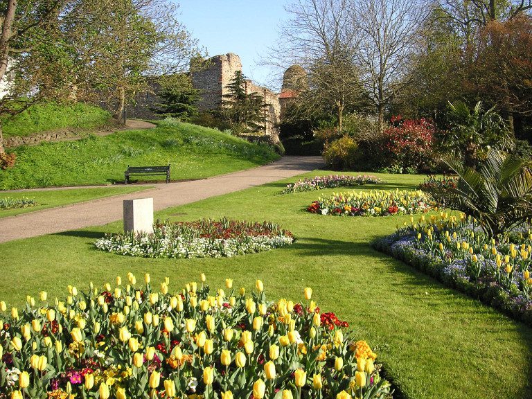 dog walks colchester - AJM Colchester Castle Park Spring 004-2 April Tulips
