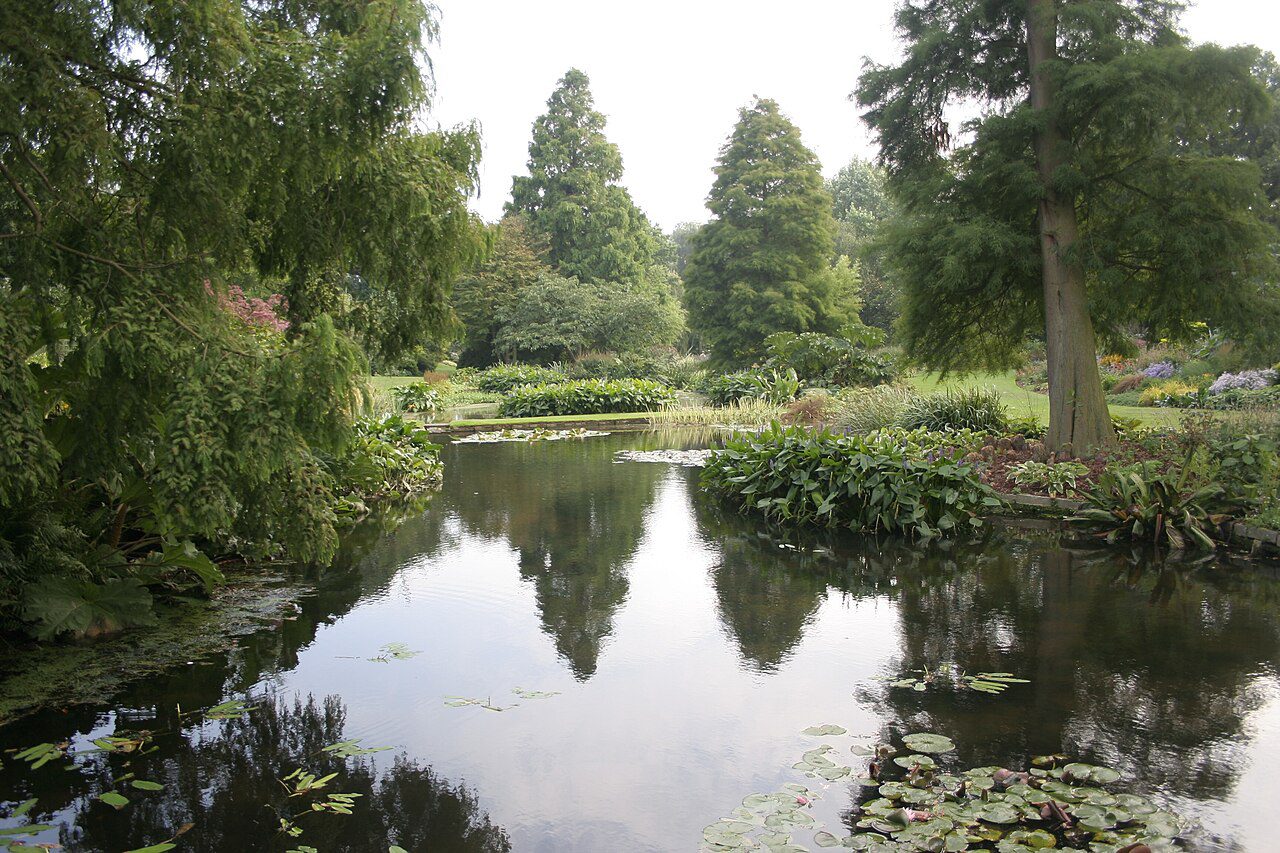 beth chatto gardens - Beth Chatto garden, Elmstead Market 1