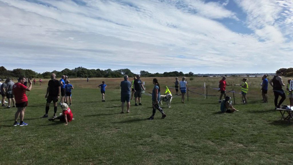 mersea island things to do - Cudmore Grove Country Park