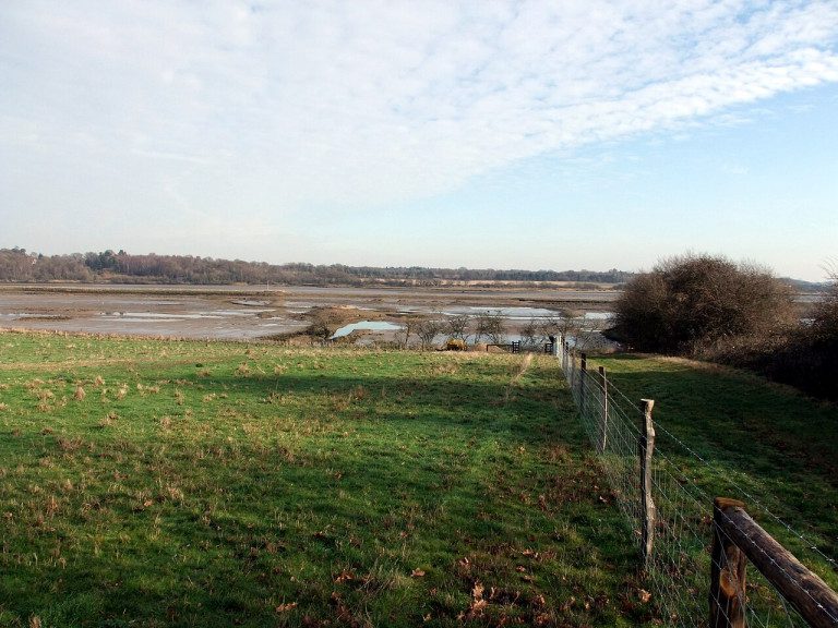 fingringhoe wick nature reserve - Fingringhoe Wick Nature Reserve