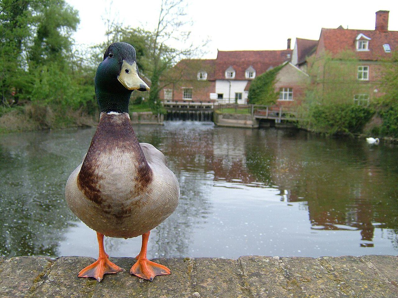 accommodation in dedham - Flatford Mill 06-05-2006 (5559543524)