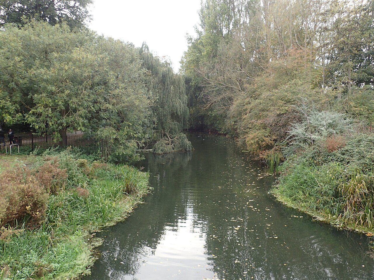colchester days out - River Colne in Castle Park, Colchester