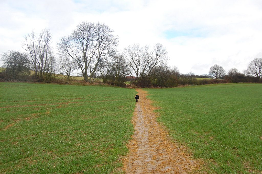 essex walking holidays - The Essex Way 4