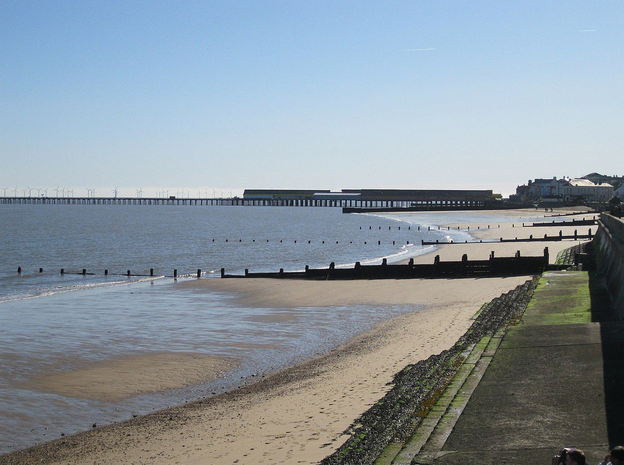 dog friendly beaches essex - Walton-on-the-Naze beach