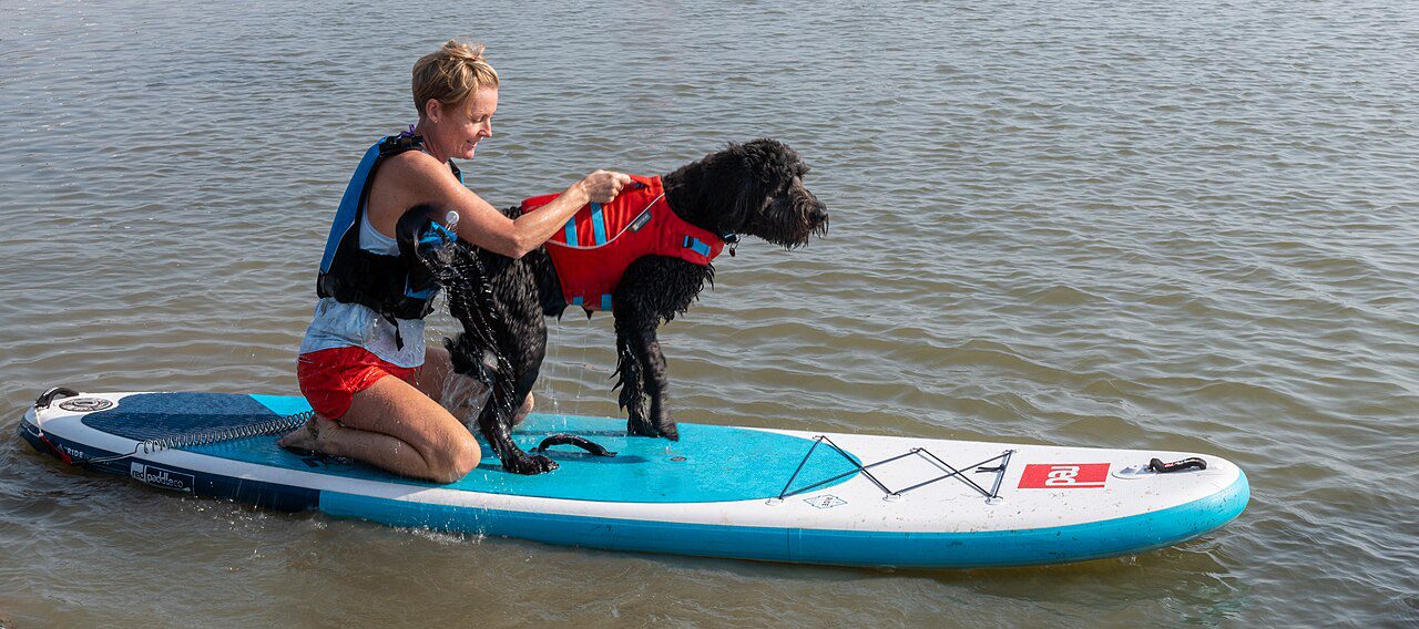 paddle boarding essex - Two Tree Island, Essex Paddle boarding 22nd September 2020 (52240450491)
